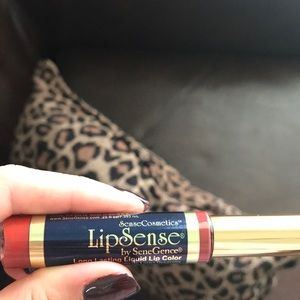 Lipsense color brick